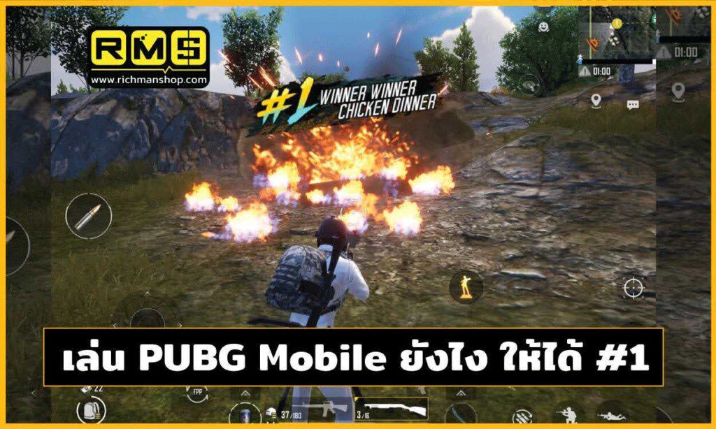 เล่นพับจีให้ได้ที่ 1 อยากเอาไก่ไปกินซักหน่อย